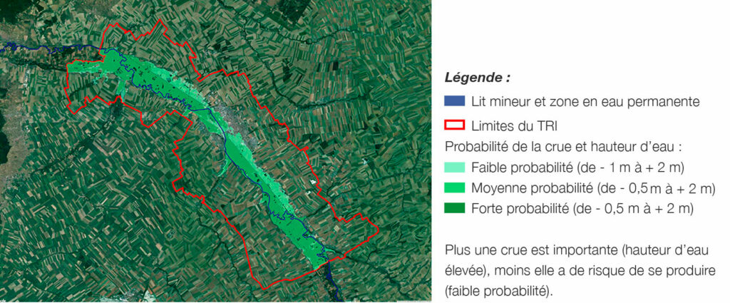 Carte crue