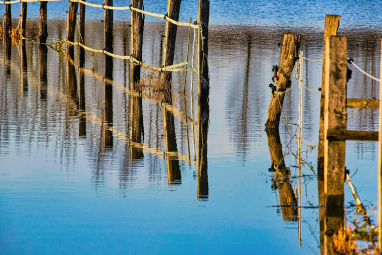 Les inondations