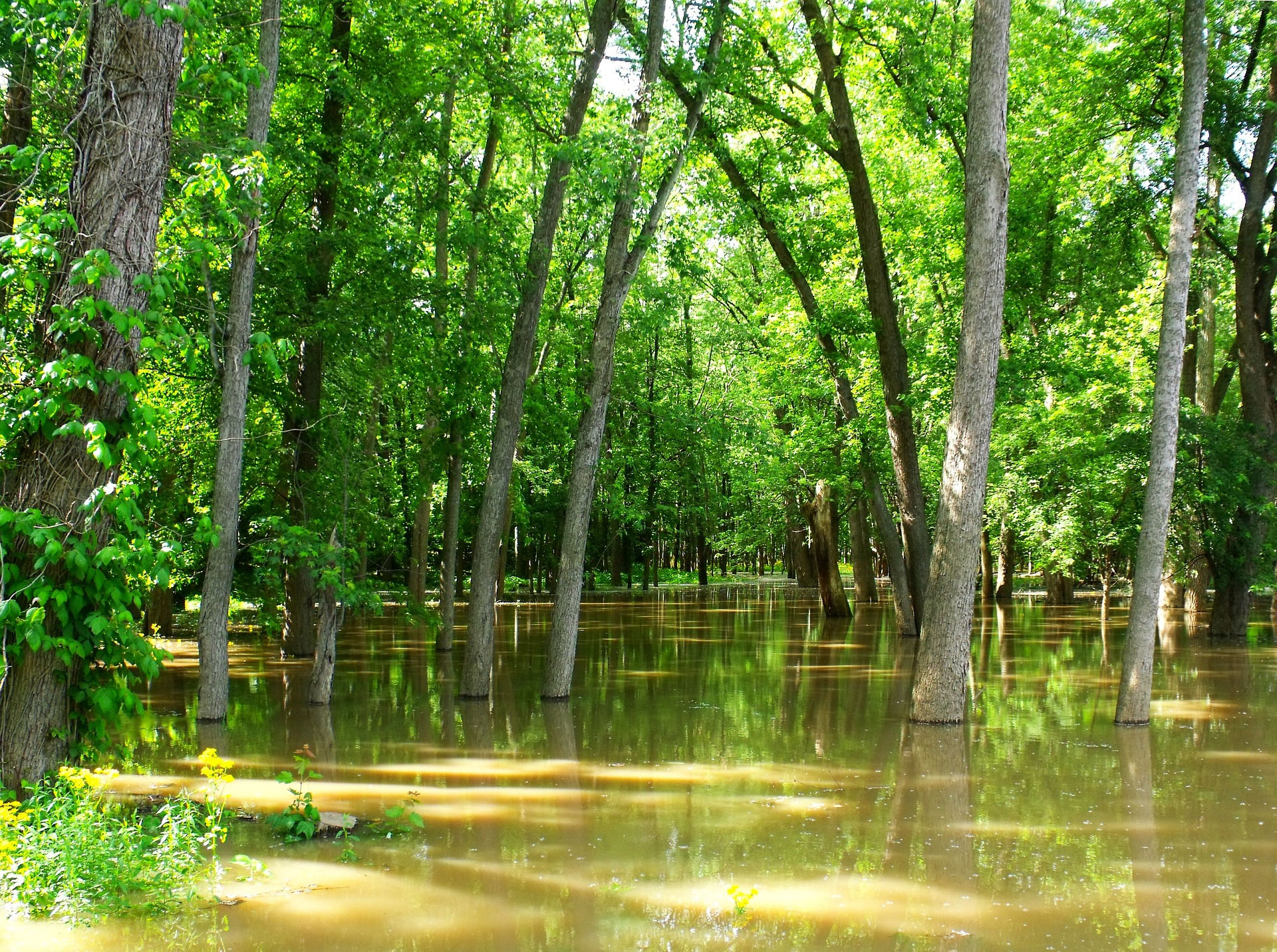 Inondations